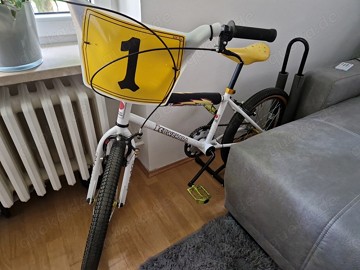 kuwahara Style Oldschool Bmx