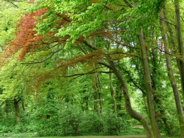 Waldgrundstück bei München zu verkaufen
