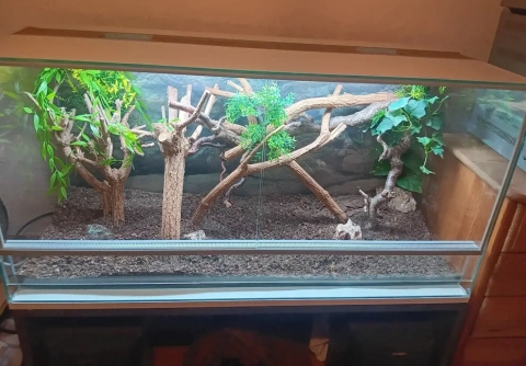 Verkaufe ein Glasterrarium mit Beleuchtung