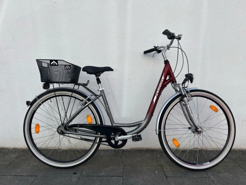 Damen Fahrrad 28 Zoll Tiefeinsteiger Pegasus