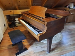 Royale Flügel zu verkaufen