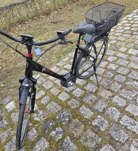 Staiger Sinus BC 30 f nur 287 Km wie Neu