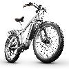 E-Bike 1000W 26 Zoll Herren Elektrofahrrad Mountainbike 48V Samsung Lithium Batterie