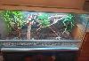 Verkaufe ein Glasterrarium mit Beleuchtung