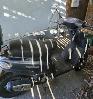 Piaggio Roller 50ccm Typhoon