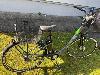 Zündapp Z510 E Bike 28 Zoll City Damenfahrrad