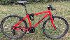 FROG 8-Gang Jugend MTB, 26 , RH 41cm, lange Sattelstütze fährt gut