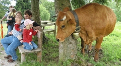 Almfest auf der Glentleiten