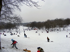 Winter 2010