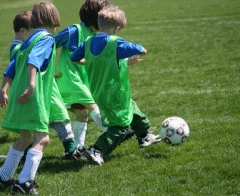 Mini-WM 2010 - Sponsoren gesucht!