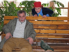 Die Taubenmutter - eine schräge Komödie im INTERIM