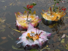 Entzückendes im Westpark