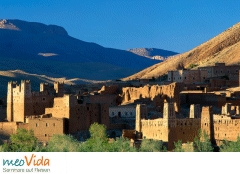 meoVida - Seminare auf Reisen