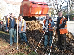 Ob noch Laub runter kommt?