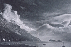 Kunst im WEIN.GUT - Kontraste