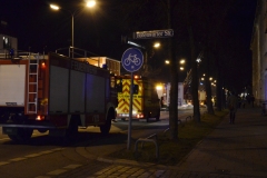 Vermeintlicher Kaminbrand