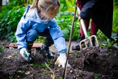 Essen fängt mit Säen an! Ökolumbini gärtnern im Gemeinschaftsgarten