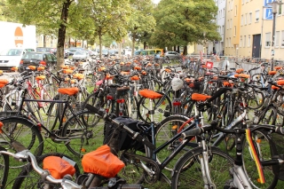 PS Immobilien verteilt Sattelüberzüge am Laimer Platz