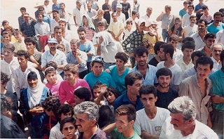 Neue Umfrage bei LAIM-online