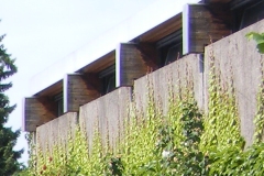 Neubau in der Helmpertstraße