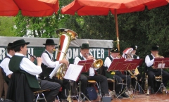 Gesucht: A guade Musi