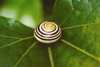 Architektur vs Natur - Natur vs Architektur: Fotoausstellung in der Stadtbibliothek Laim