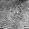 Fingerabdruck