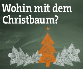 Wohin mit dem Christbaum?