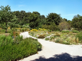 Wege im Westpark werden saniert