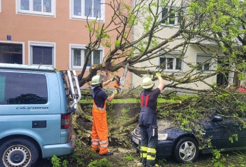 Umgestürzter Baum beschädig Pkws