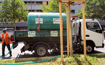 Erinnerung an heiße Tage: Auch Straßenbäume brauchen Wasser!