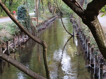 Stadtpark Pasing: Sehr niedriger Wasserstand der Würm