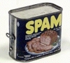 30 Jahre SPAM